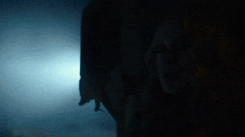 This Country's Gonna Collapse