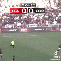 Corinthians Sccp GIF