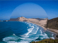 You Can Wow GIF by FranchiseONE.de