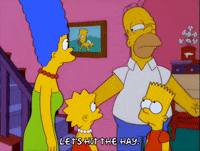 homer simpson GIF
