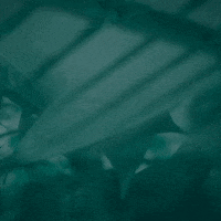 Residencial Varandas GIF by CMO Construtora