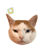 防疫 Sticker