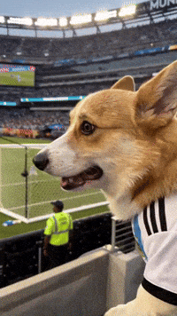 Football Soccer GIF