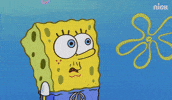 GIF by SpongeBob SquarePants