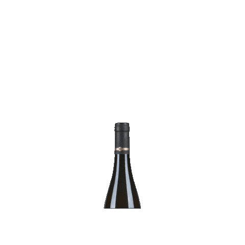 Grillenparz1452 giphygifmaker wine winetime winelover Sticker