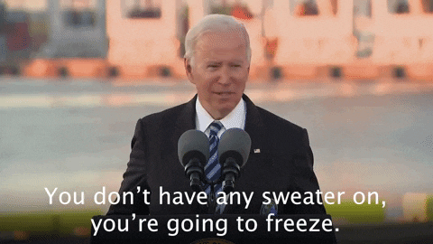Joe Biden Winter GIF by The Democrats