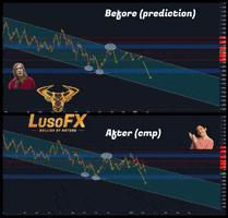 lusofx trading forex lusofx forexcourse GIF