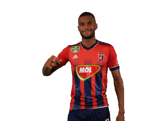 molfehervarfcgif giphyupload vidi szekesfehervar nego Sticker