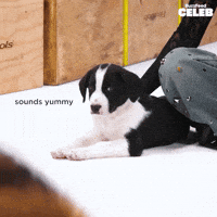 Hungry Girl Group GIF by BuzzFeed