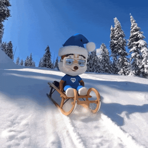 Party Christmas GIF by TIMOCOM