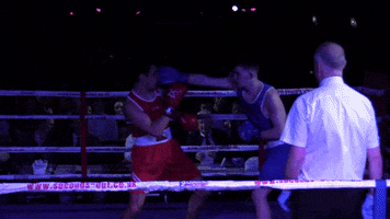 EUSU boxing edinburgh Fight Night fightnight GIF