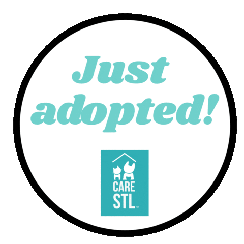 carestl giphyupload icarestl carestl justadopted Sticker