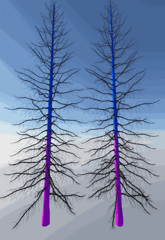 WASasquatch giphyupload terragen GIF