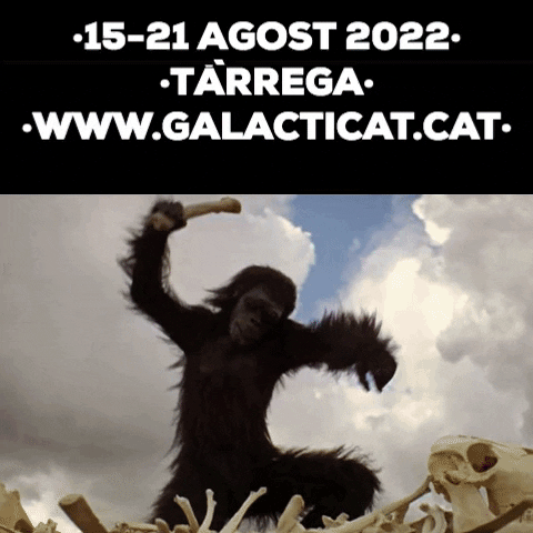 GalacticatFest giphygifmaker tarrega galacticat galacticat film festival GIF