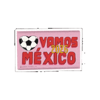 Viva Mexico Sticker