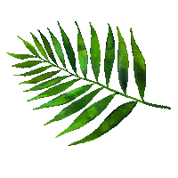 JohnysJungle jungle welcome to the jungle welcometothejungle pochlarn Sticker