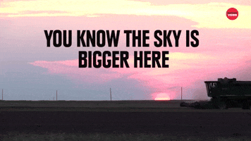 Texas GIF by BuzzFeed