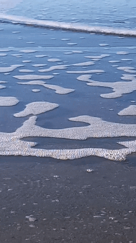 Simongip giphyupload GIF