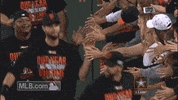 sf 137 GIF by MLB