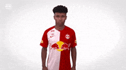Cheer Yes GIF by FC Red Bull Salzburg