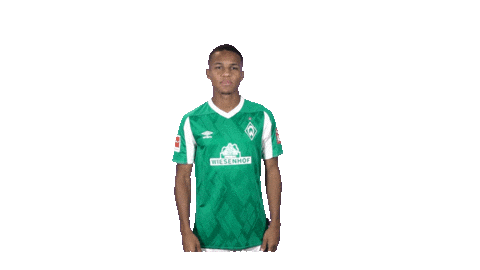 Bundesliga Felix Sticker by SV Werder Bremen