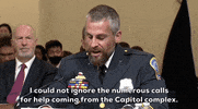 January 6 Insurrection GIF by GIPHY News
