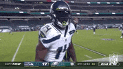 Regular Season Football GIF by NFL