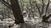 Bike Fail GIF by Pit Viper