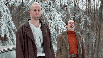 steve buscemi lol GIF by Maudit