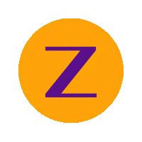 Logo Orange Sticker by Zoom Tan