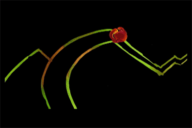 animation art GIF by Will Kim