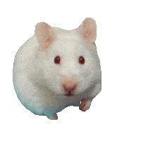 DopeDogCo hamster hammy dopedogco khali Sticker