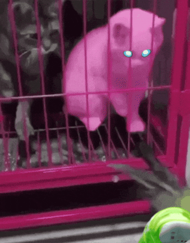 Steam Give GIF by Marathon