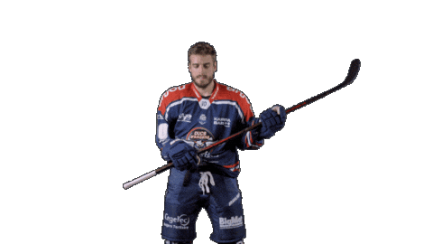 Ducs Dangers Hockey Sticker by Les Ducs d'Angers