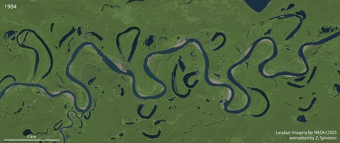 andrespmohorte giphyupload GIF