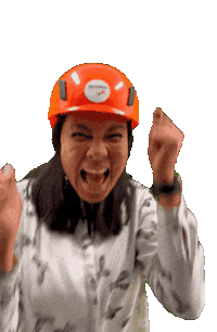 Told You Yes Sticker by Van Riswick