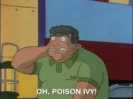 hey arnold nickelodeon GIF