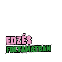 szentkiralyiasvanyviz water gym viz egeszseg Sticker