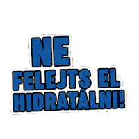 szentkiralyiasvanyviz water gym viz egeszseg Sticker