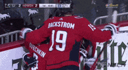 nhl sports hockey nhl ice hockey GIF