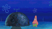 GIF by SpongeBob SquarePants