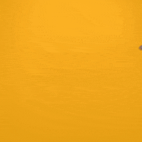 Pluralsight hello hi good job handshake GIF