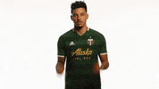 Shocked Portland Timbers GIF by Timbers