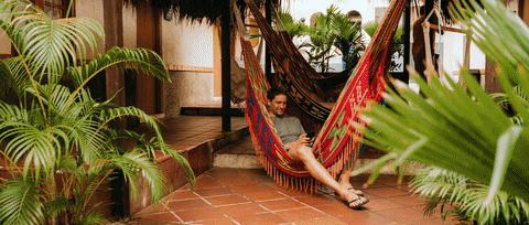 ViajeroHostels giphyupload GIF