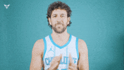 Hive Mentality Vasa Micic GIF by Charlotte Hornets