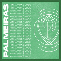 Gustavo Scarpa Soccer GIF by SE Palmeiras