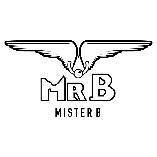 MisterBamsterdam giphyupload misterb mister b Sticker