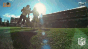 Jacksonville Jaguars Football GIF by NFL