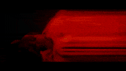 Hayley Williams News GIF by Paramore