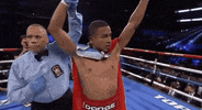 toprank fight boxing fighting espn GIF